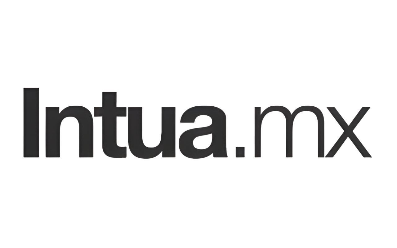 Logo de intua inmobiliaria
